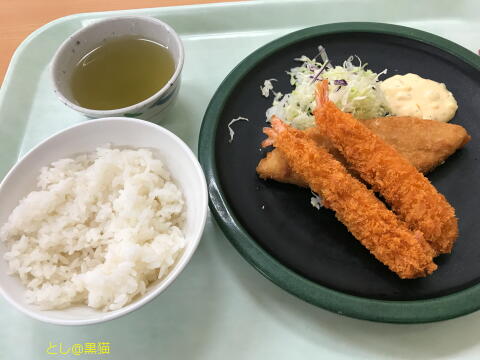 社畜食堂 塩分制限食 2017