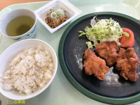 社畜食堂 塩分制限食 2017