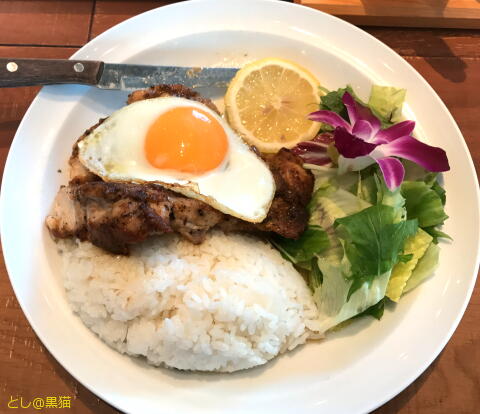 Hawaian Chicken Plate and Peach Mojito