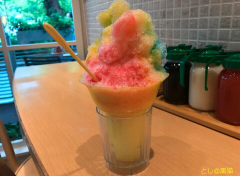 Eggs'n Things - Rainbow shaped ice