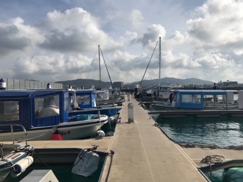 【保養旅行】 石垣島 マクロ その2