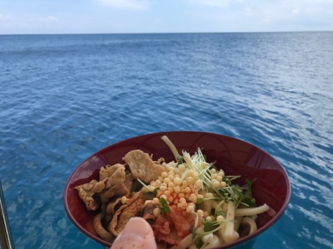 【保養旅行】 石垣島 マクロ その3