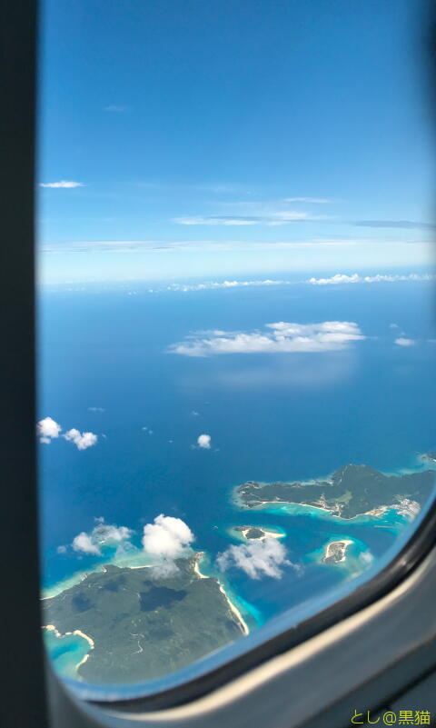 【保養旅行】 石垣島 マクロ その4