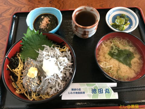 腰越で 生シラスと釜揚げシラスの二色丼