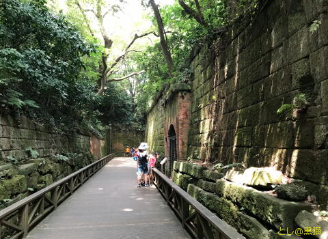 天空の城ラピュタ を 連想させる 猿島 散策