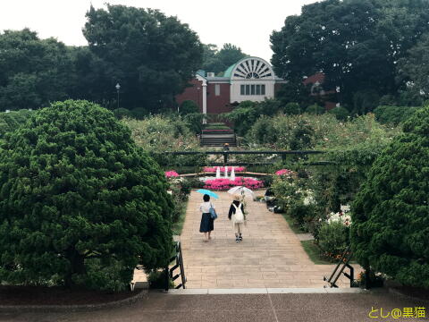 横浜 山手111番館で雨宿りアフタヌーンティー