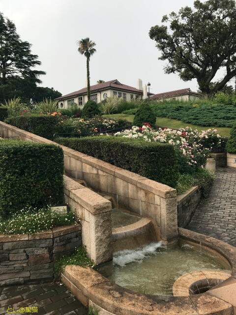 横浜 山手111番館で雨宿りアフタヌーンティー