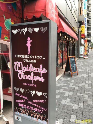 ぴなふぉあ 1号店 まどマギ 美樹さやか by ういちゃん