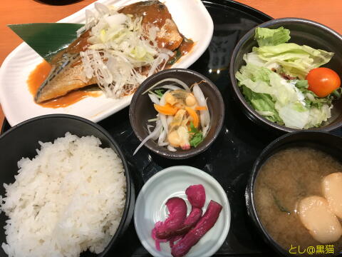 おさかな道場 サバ味噌煮定食