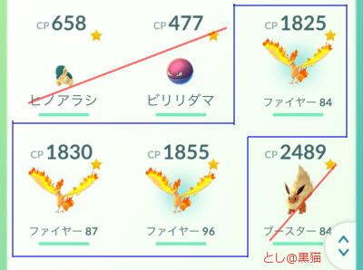 ゲットした伝説のポケモン（ファイヤー）