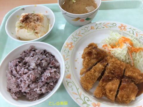 社畜食堂 塩分制限食 2017