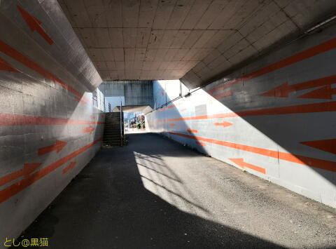 みなとみらい ひみつの遊歩道 散歩道