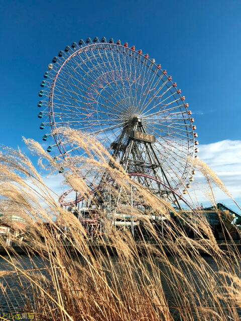 みなとみらい ひみつの遊歩道 散歩道