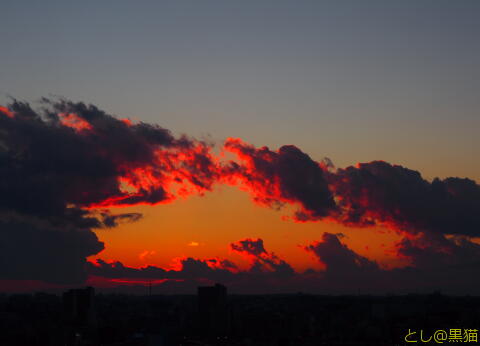 夕焼け