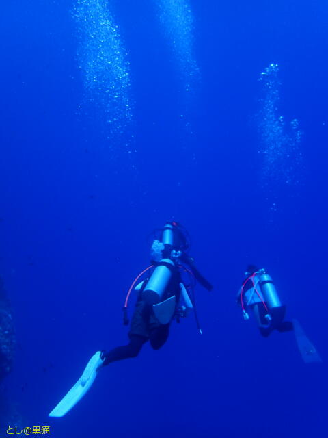 ロタ島 回想 その2 《ロタホール編》