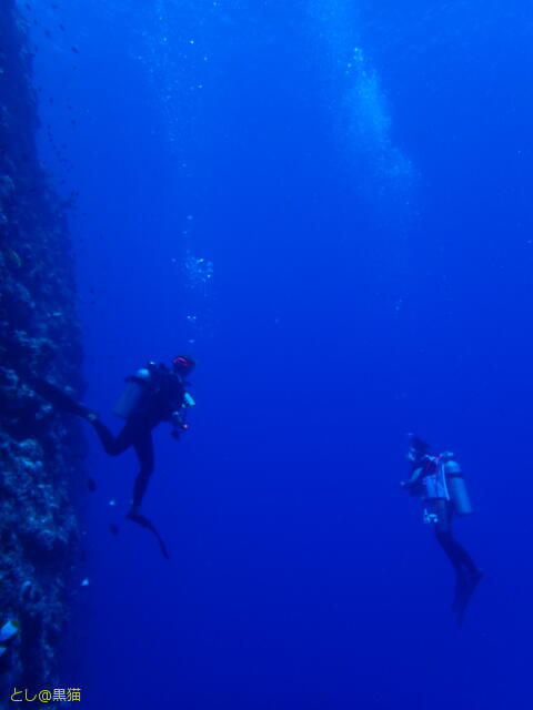 ロタ島 回想 その2 《ロタホール編》