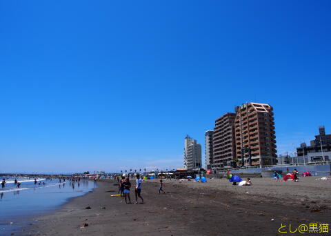 湘南海岸沿い 江ノ電で散策 海と旨いもの