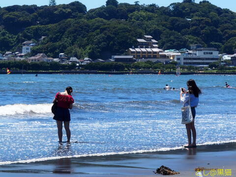 湘南海岸沿い 江ノ電で散策 海と旨いもの