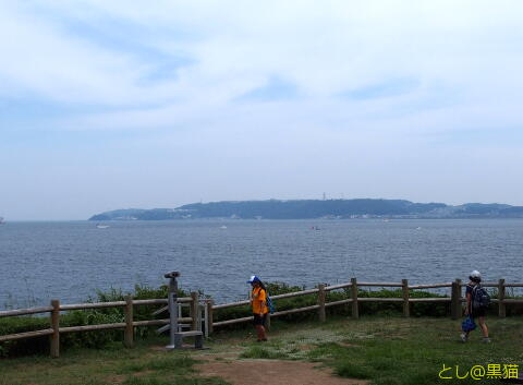 天空の城ラピュタ を 連想させる 猿島 散策