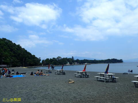 西伊豆 大瀬崎 外海でウミウシ探し その1