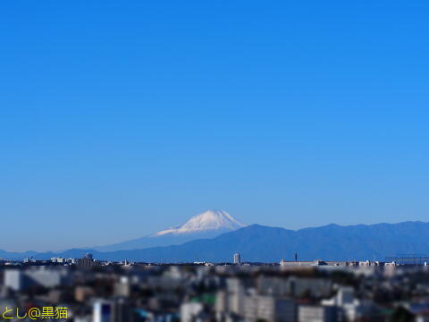 朝夕は寒いが、日中は夏